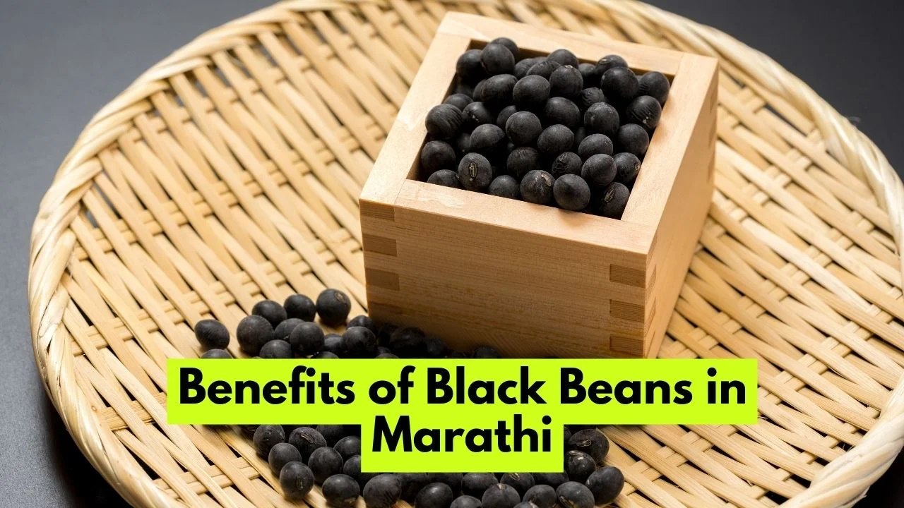 Benefits of Black Beans in Marathi