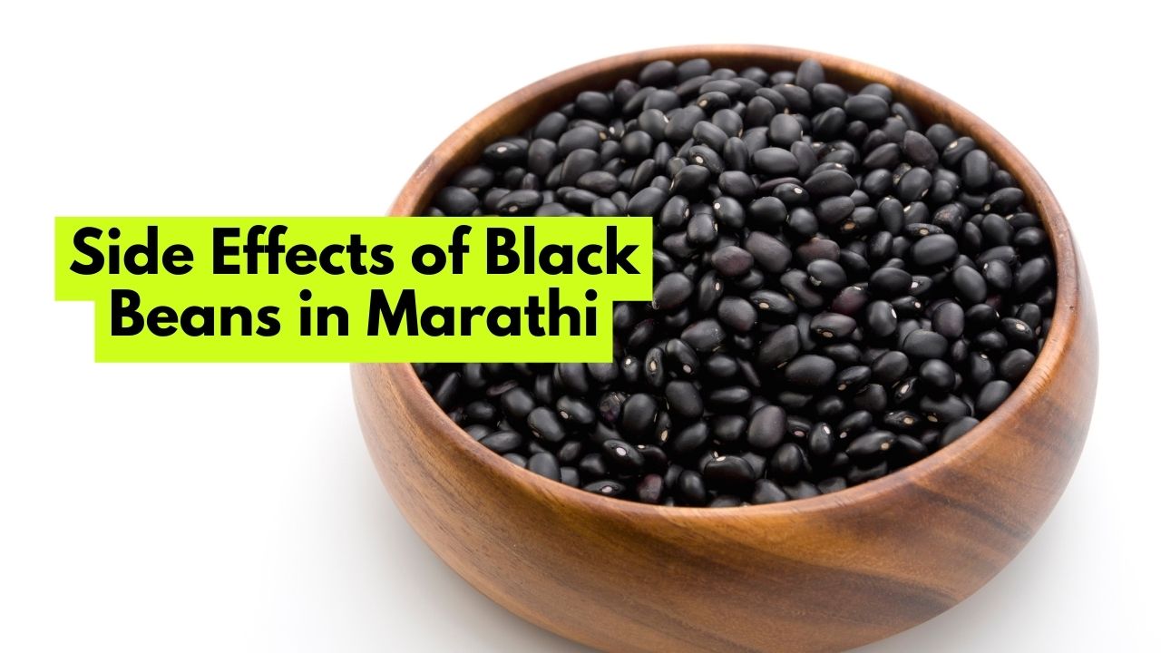 Side Effects of Black Beans in Marathi