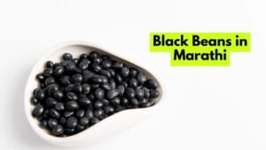 Black Beans in Marathi