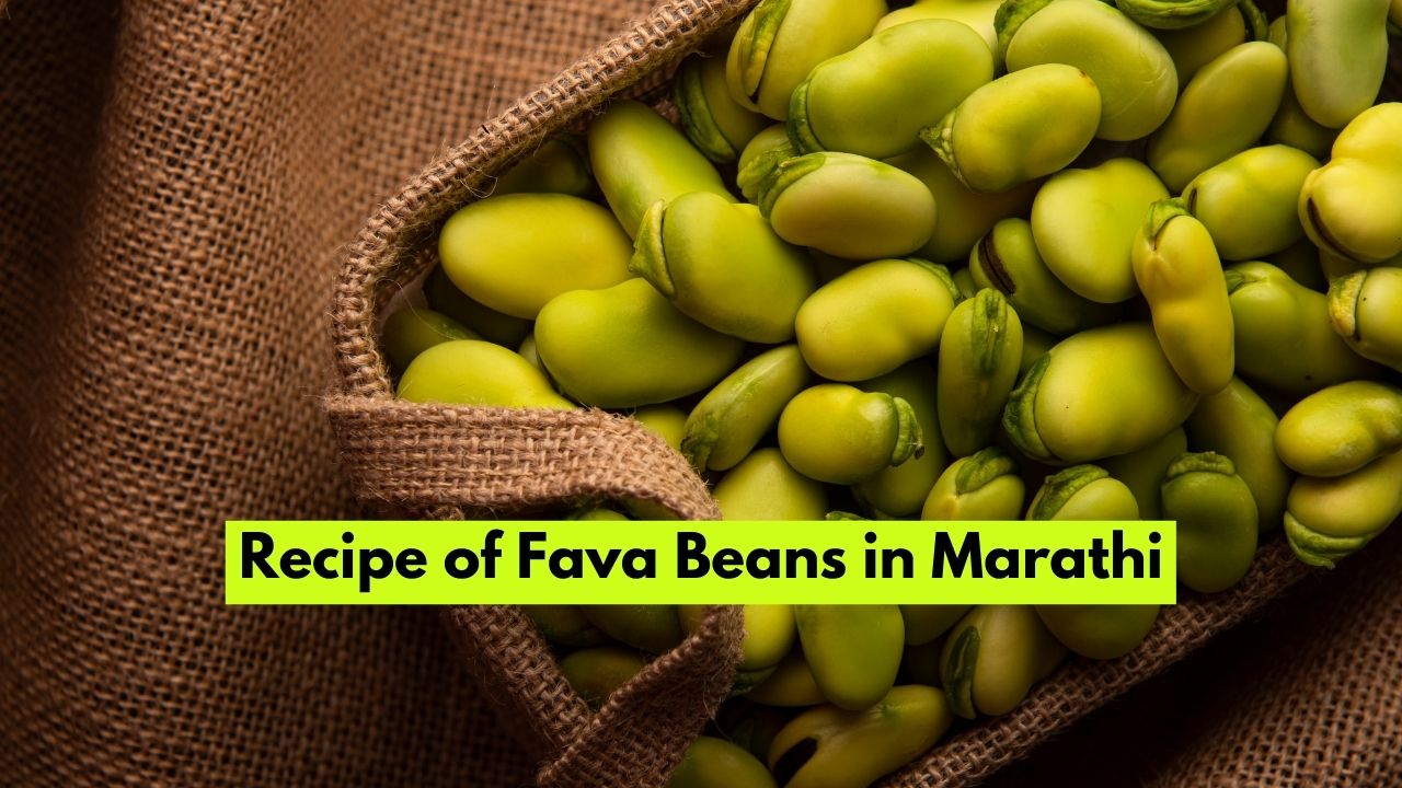 Recipe of Fava Beans in Marathi
