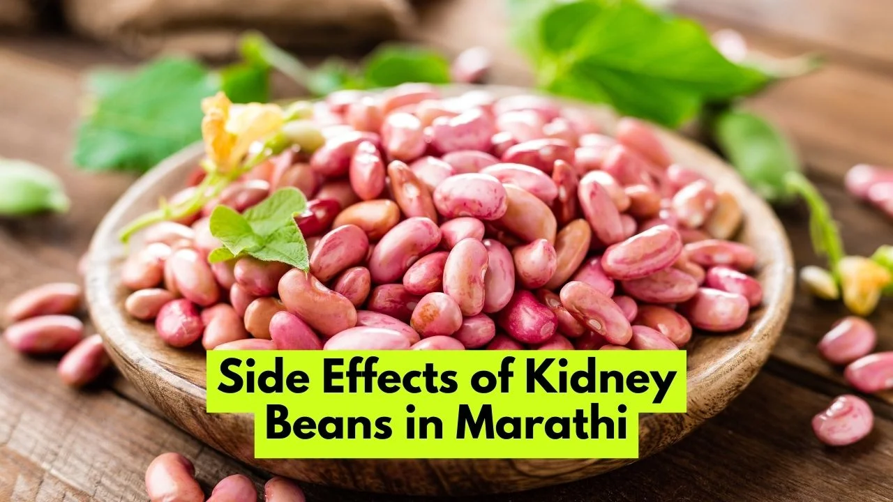 Side Effects of Kidney Beans in Marathi