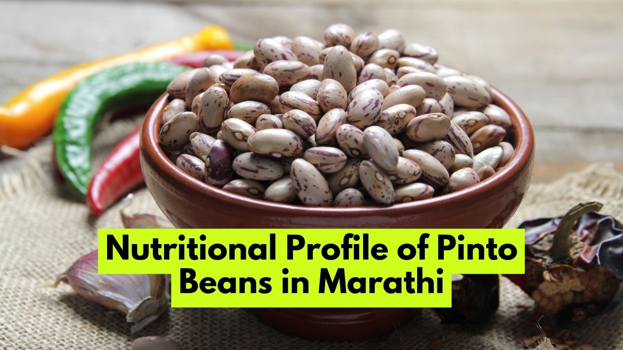 Nutritional Profile of Pinto Beans in Marathi