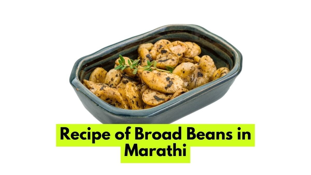 Broad Beans in Marathi ब्रॉड बीन्सला मराठीत काय म्हणतात? Mayboli.in