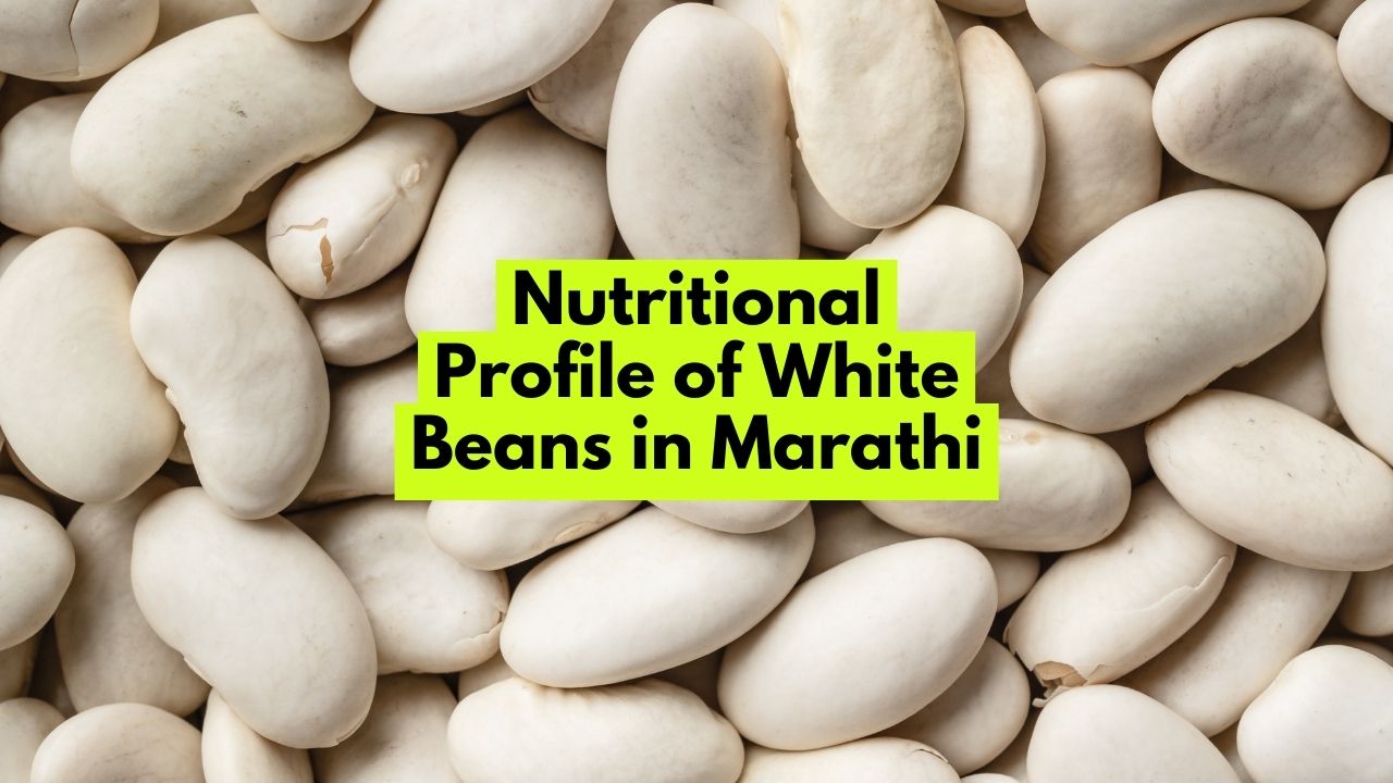 Nutritional Profile of White Beans in Marathi