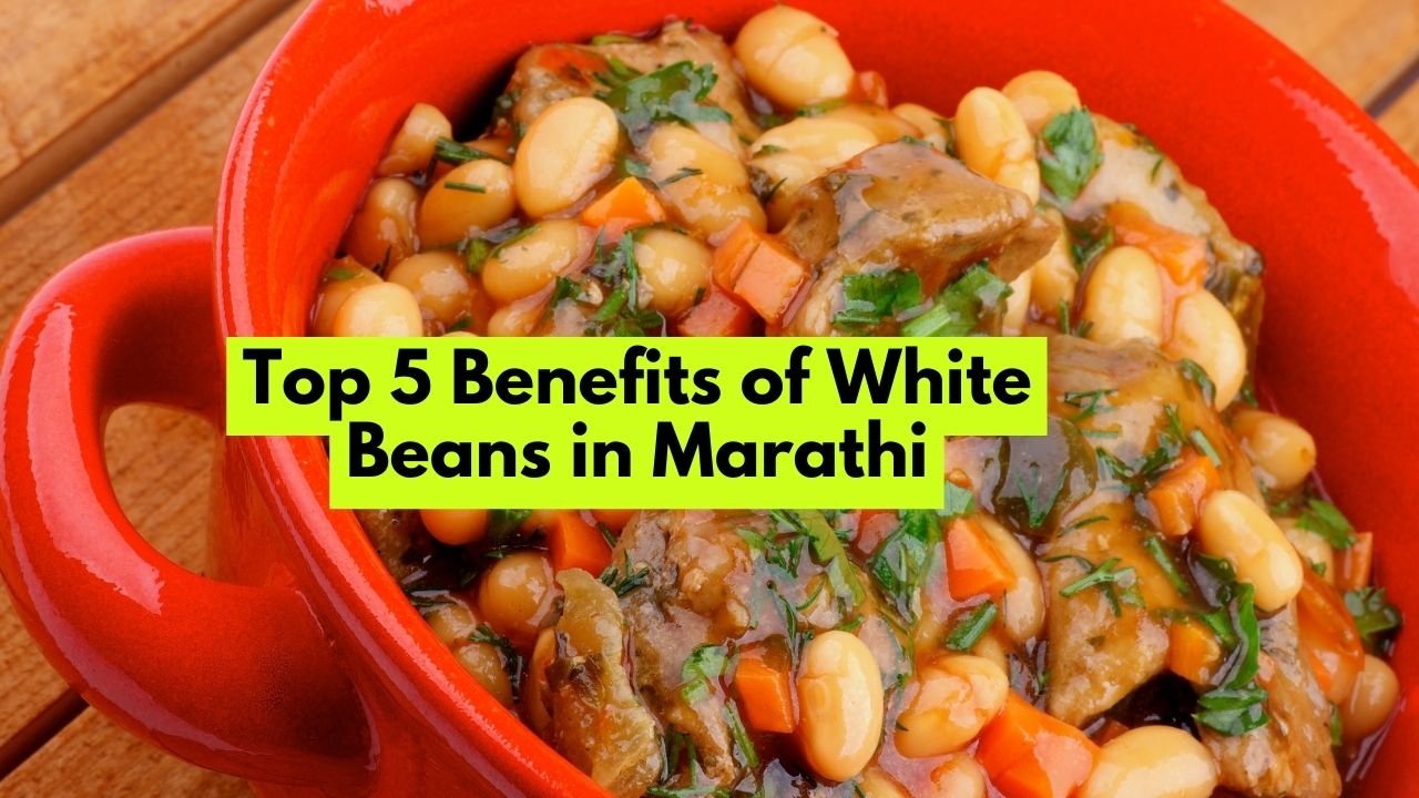 Top 5 Benefits of White Beans in Marathi
