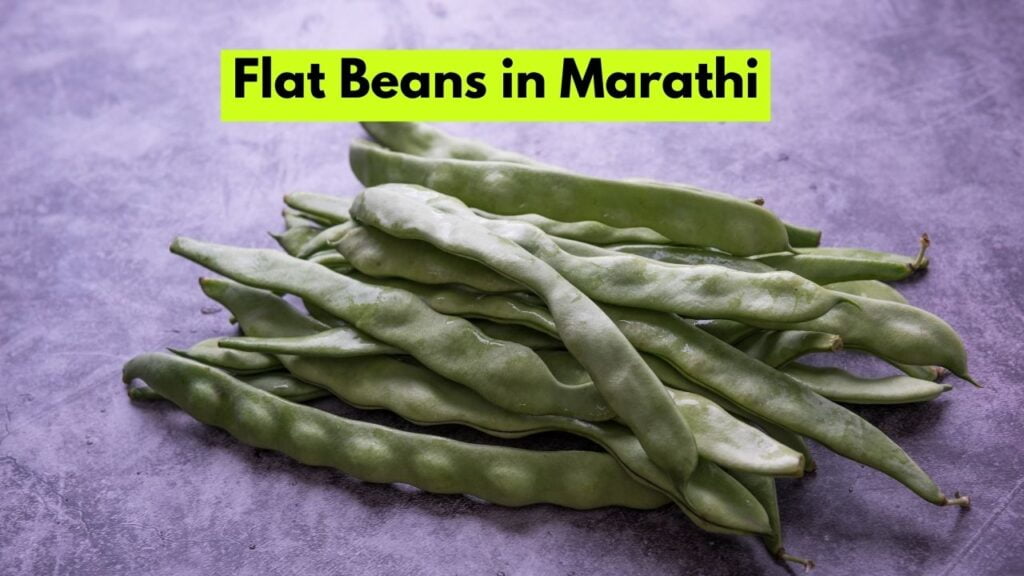 Flat Beans in Marathi