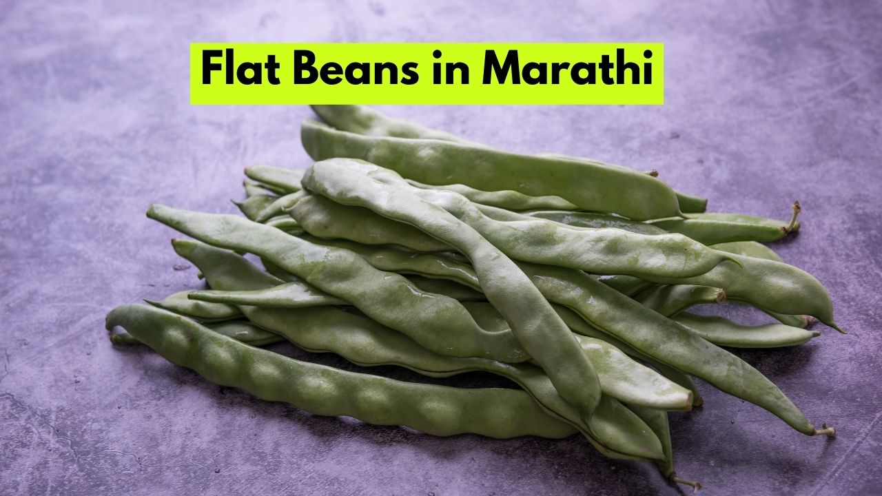 flat-beans-in-marathi