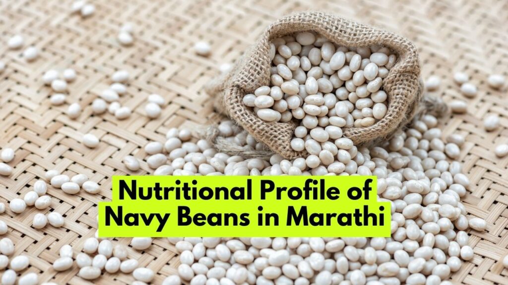 Nutritional Profile of Navy Beans in Marathi