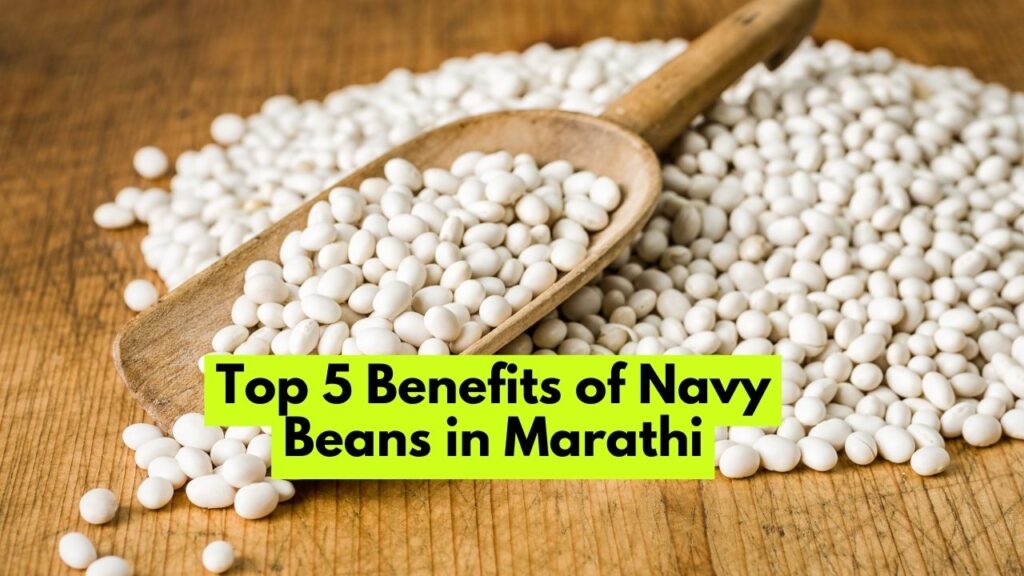 Top 5 Benefits of Navy Beans in Marathi