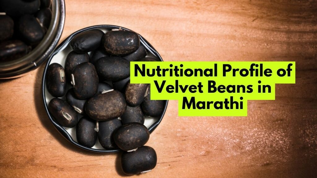 Nutritional Profile of Velvet Beans in Marathi
