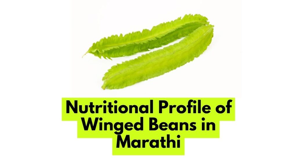 Nutritional Profile of Winged Beans in Marathi