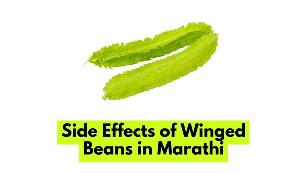 Side Effects of Winged Beans in Marathi