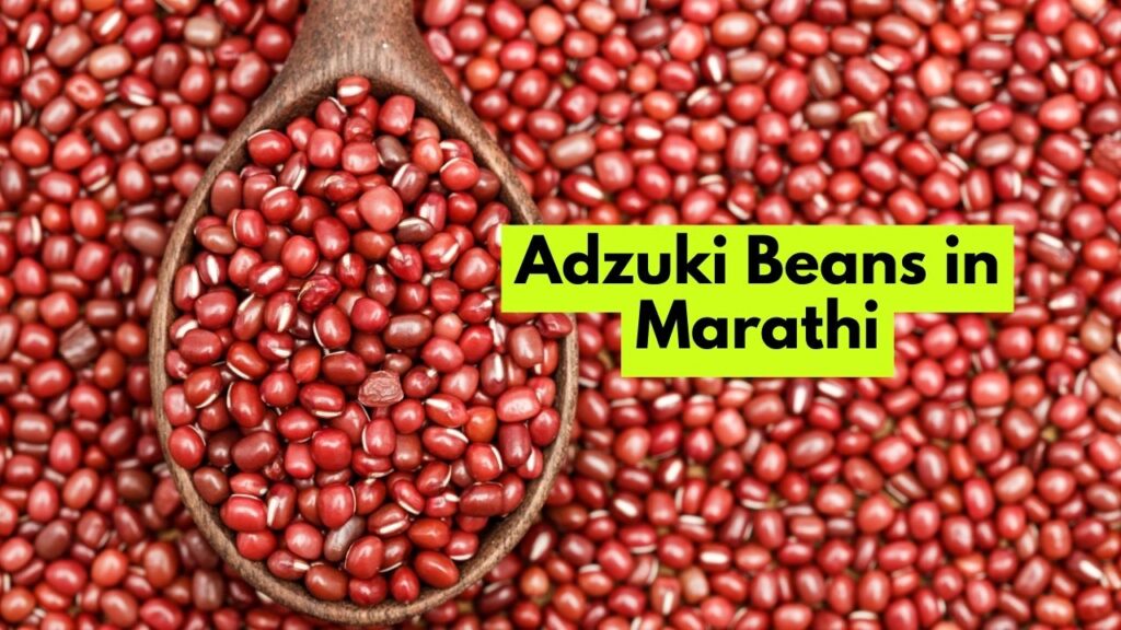 Adzuki Beans in Marathi