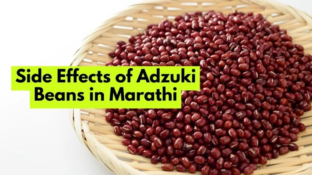 Side Effects of Adzuki Beans in Marathi