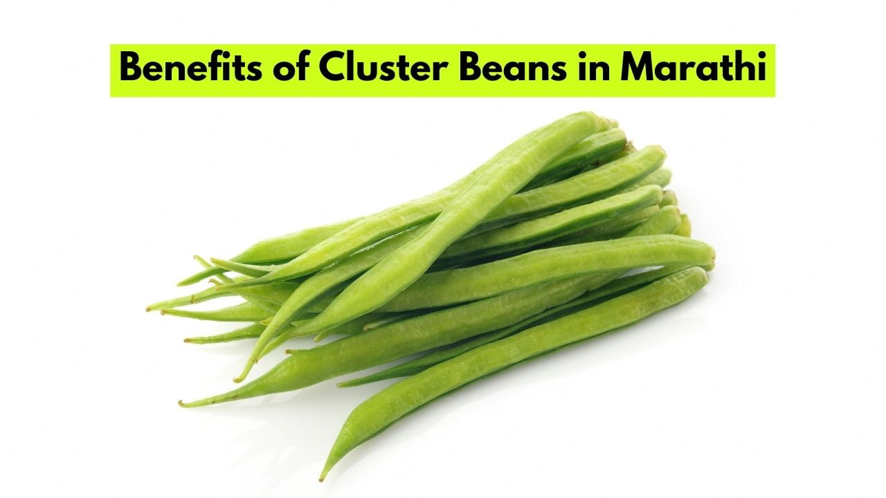 Benefits of Cluster Beans in Marathi