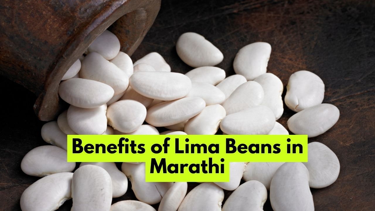 Benefits of Lima Beans in Marathi