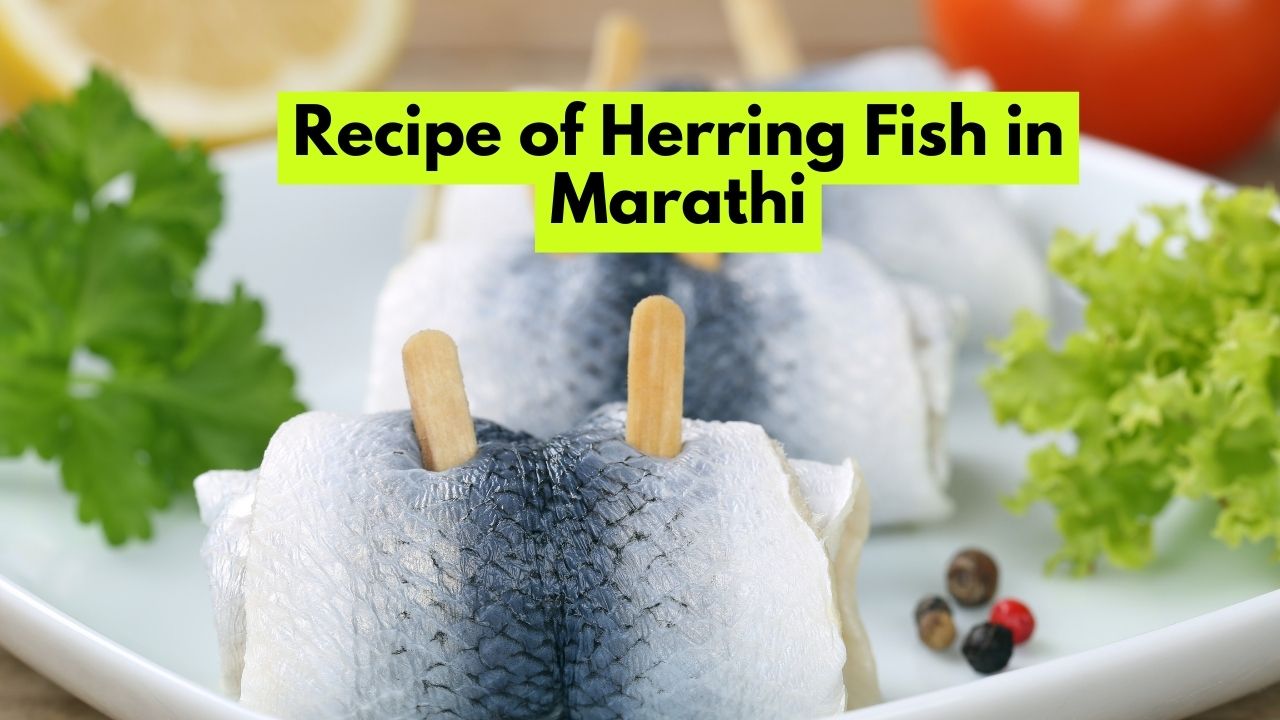 Recipe of Herring Fish in Marathi