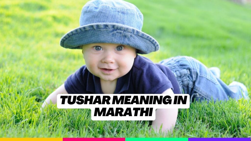 Tushar Meaning in Marathi
