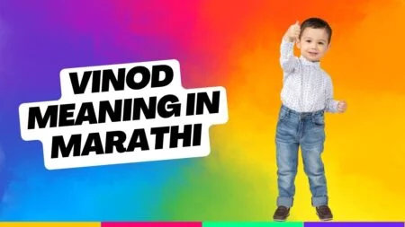 Vinod Meaning in Marathi