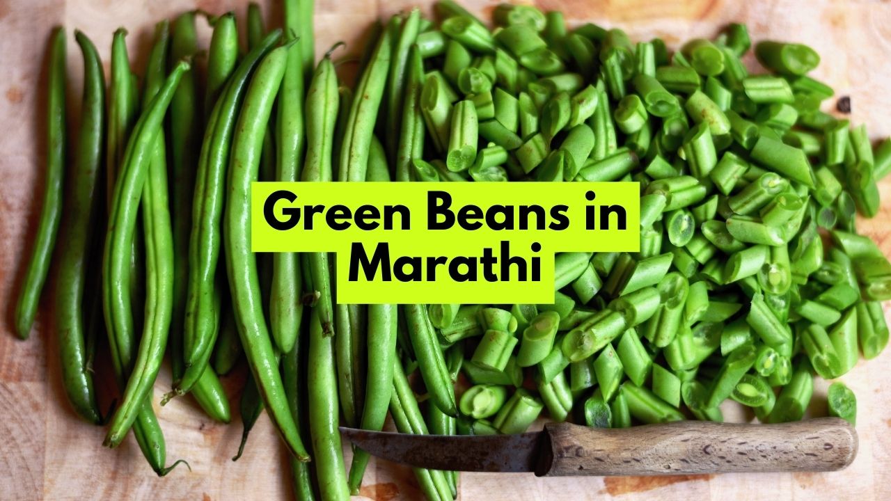 Green Beans in Marathi