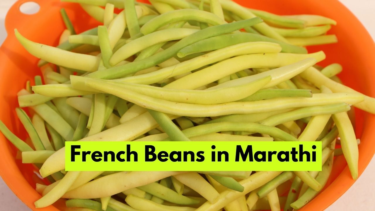 French Beans in Marathi