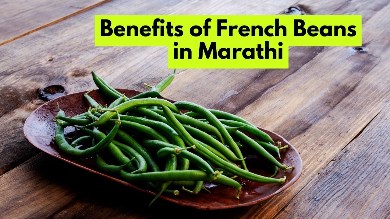 Benefits of French Beans in Marathi