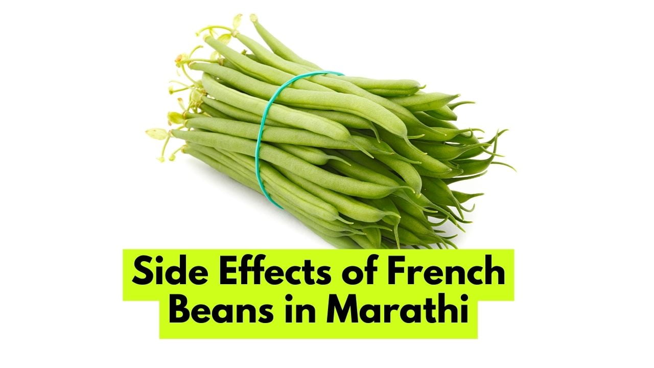 Side Effects of French Beans in Marathi