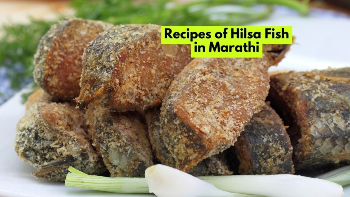 Hilsa Fish in Marathi हिल्सा माशाला मराठीत काय म्हणतात? Mayboli.in