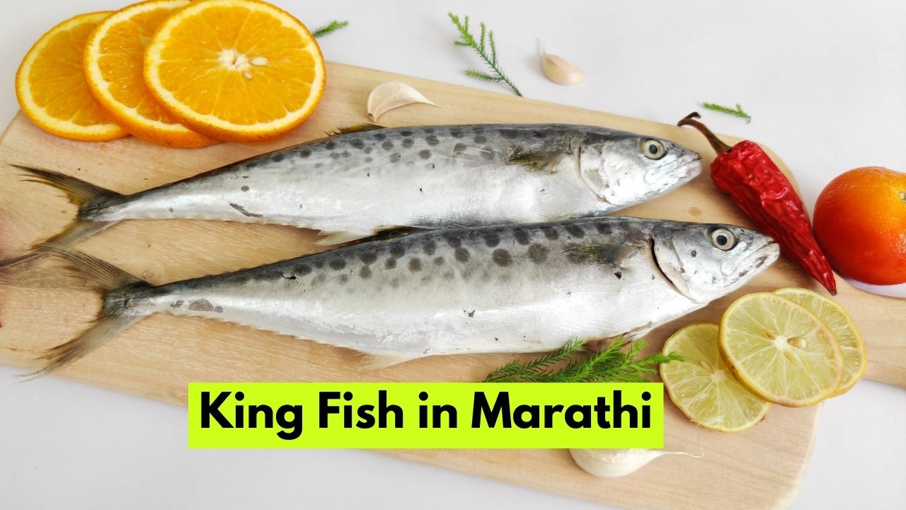 King Fish in Marathi