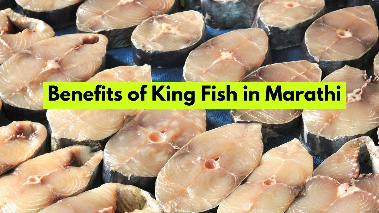 Benefits of King Fish in Marathi