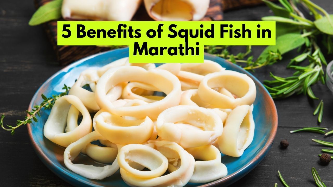 5 Benefits of Squid Fish in Marathi