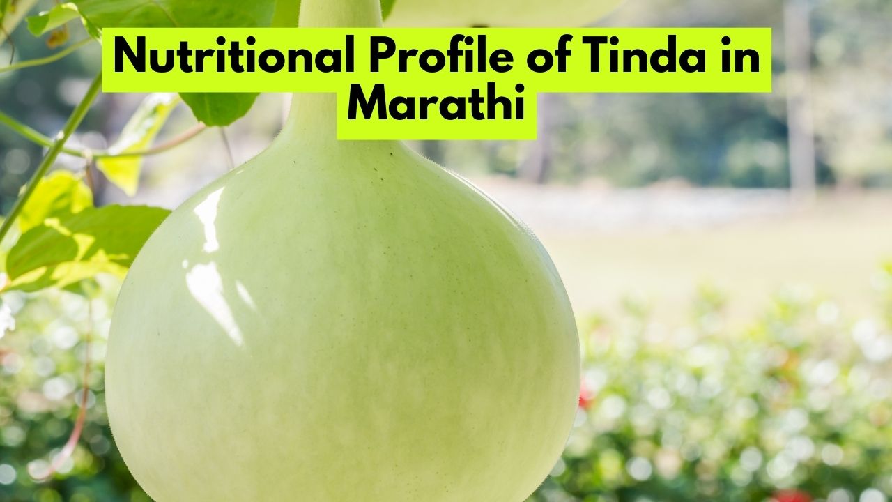 Nutritional Profile of Tinda in Marathi