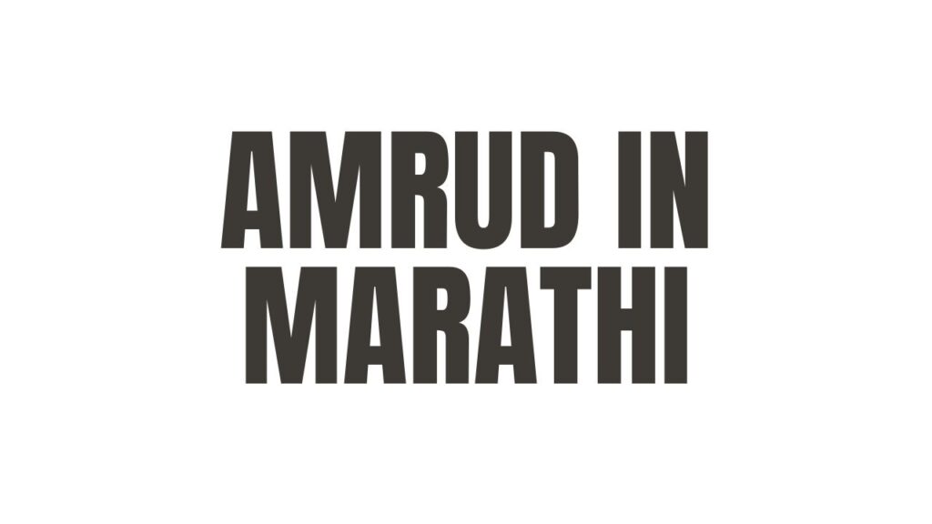 Amrud in Marathi
