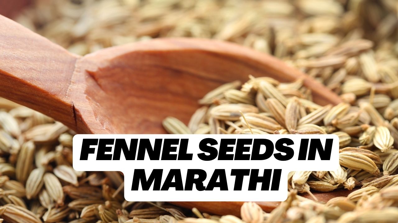 Fennel Seeds in Marathi