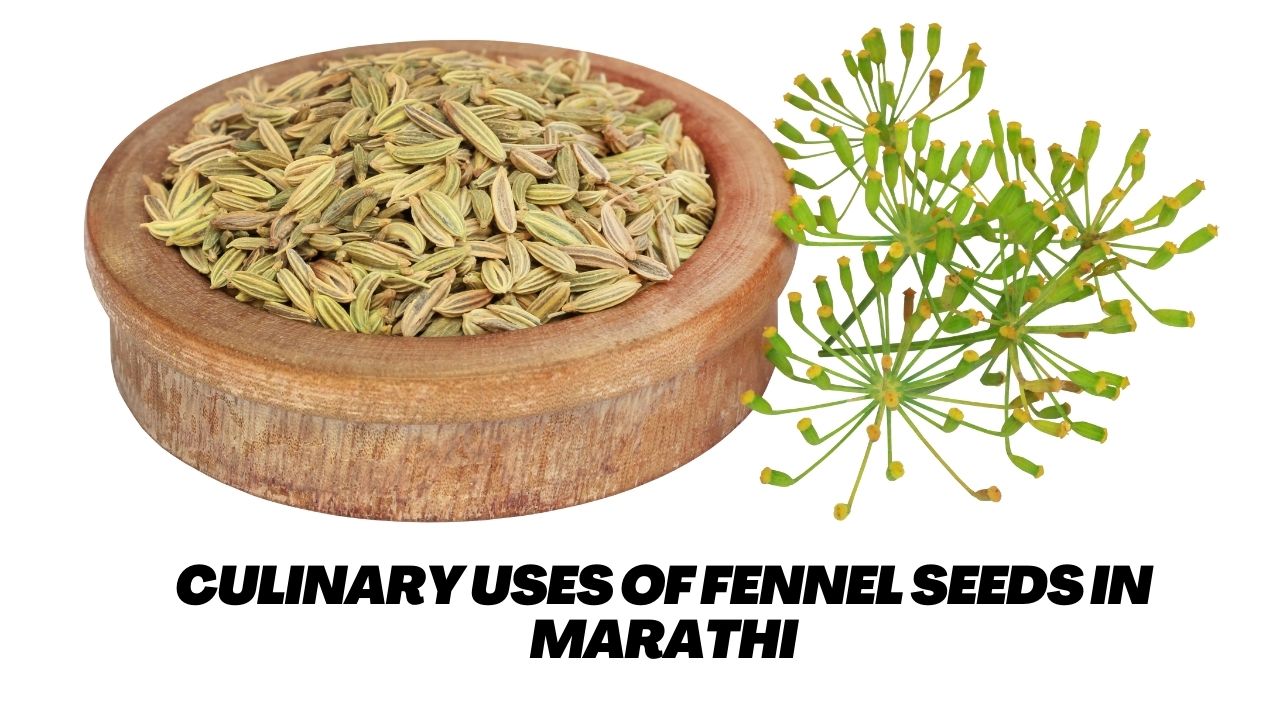 Culinary Uses of fennel Seeds in Marathi