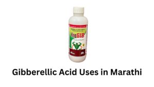 Gibberellic Acid Uses in Marathi