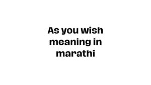 As you wish meaning in marathi