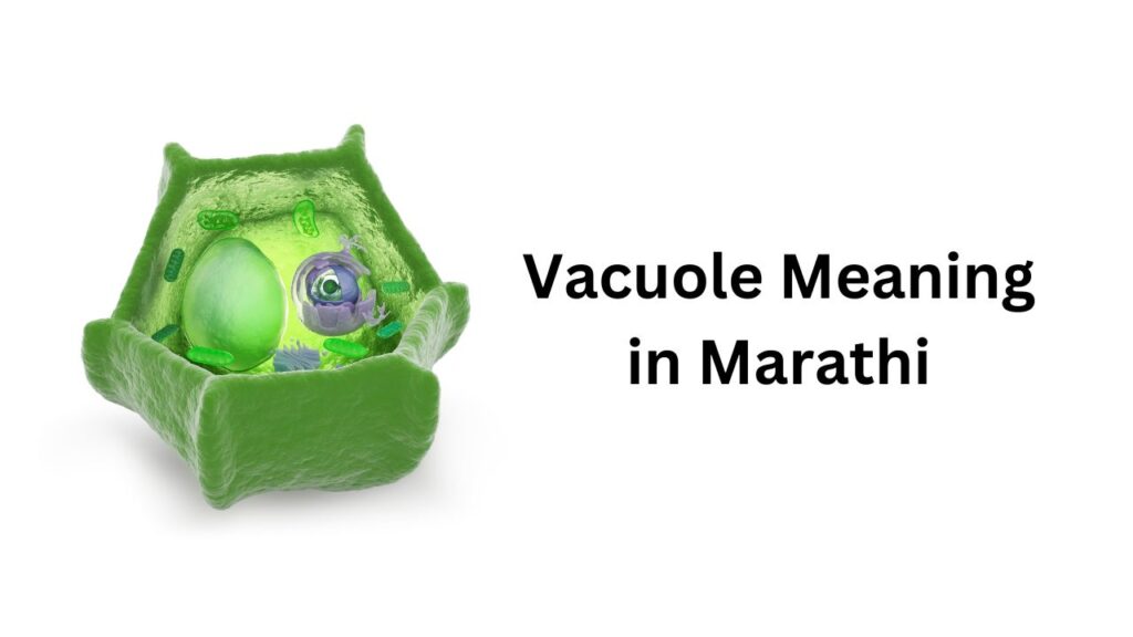 Vacuole Meaning in Marathi